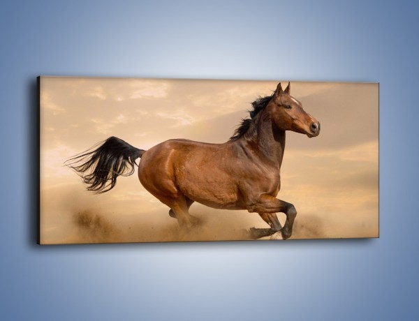 Obraz na płótnie – Koń który nie chce się zatrzymać – jednoczęściowy panoramiczny Z314