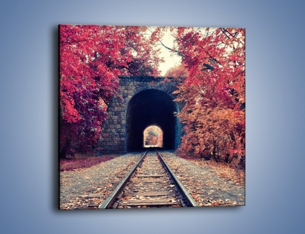 Obraz na płótnie – Pociągiem przez jesień – jednoczęściowy kwadratowy KN1023