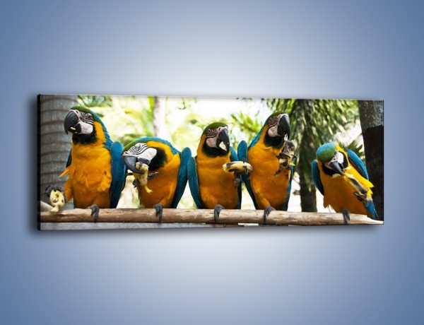 Obraz na płótnie – Piknik z papugami – jednoczęściowy panoramiczny Z322