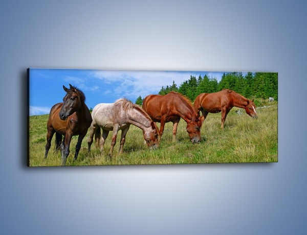 Obraz na płótnie – Spokój las i konie – jednoczęściowy panoramiczny Z330