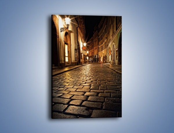 Obraz na płótnie – Wybrukowana uliczka w świetle nocnych lamp – jednoczęściowy prostokątny pionowy AM060