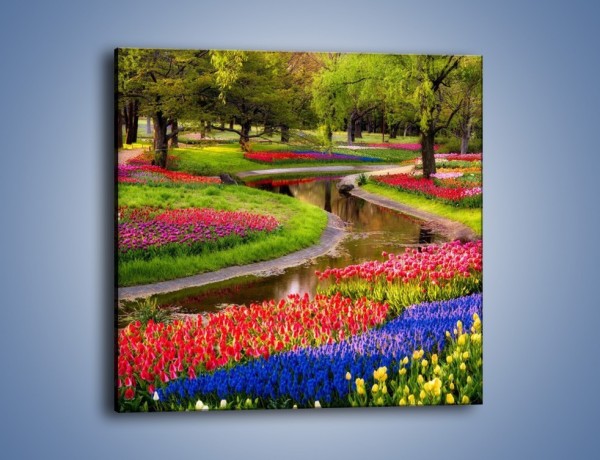 Obraz na płótnie – Aleje kolorowych tulipanów – jednoczęściowy kwadratowy KN1079