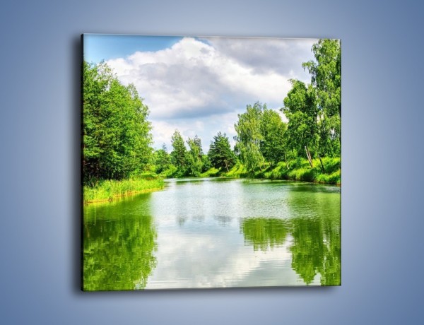 Obraz na płótnie – Spokojna woda i las – jednoczęściowy kwadratowy KN1086