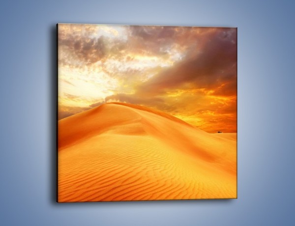 Obraz na płótnie – Słońce zatopione w piasku – jednoczęściowy kwadratowy KN1093A