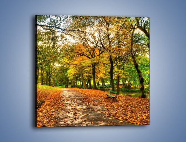 Obraz na płótnie – Piękna jesień w parku – jednoczęściowy kwadratowy KN1098A