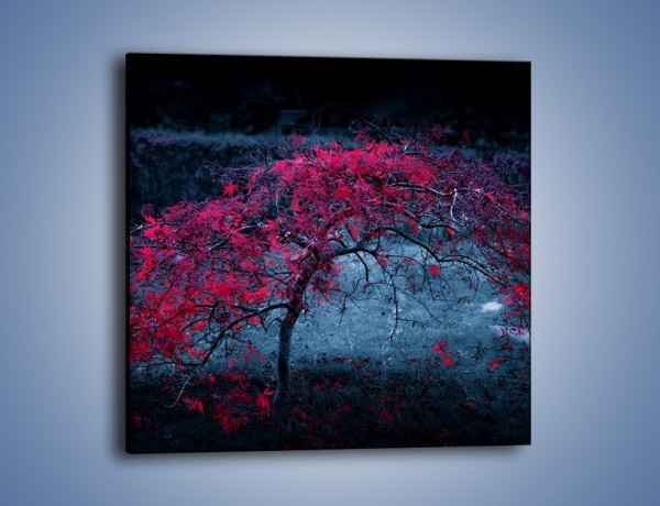 Obraz na płótnie – Czerwone płaczące drzewo – jednoczęściowy kwadratowy KN1101A