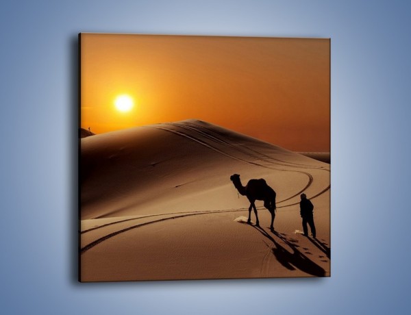 Obraz na płótnie – Człowiek wielbłąd i wydmy – jednoczęściowy kwadratowy KN1134A
