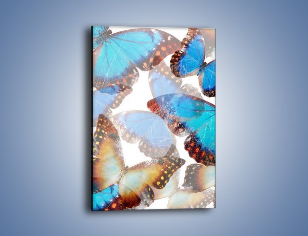Obraz na płótnie – Motyl w niebieskim kolorze – jednoczęściowy prostokątny pionowy GR403