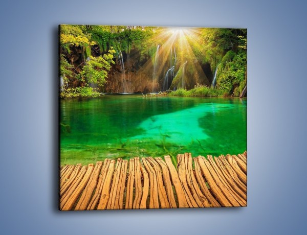Obraz na płótnie – Zielone oczko wodne i drewno – jednoczęściowy kwadratowy KN1149A