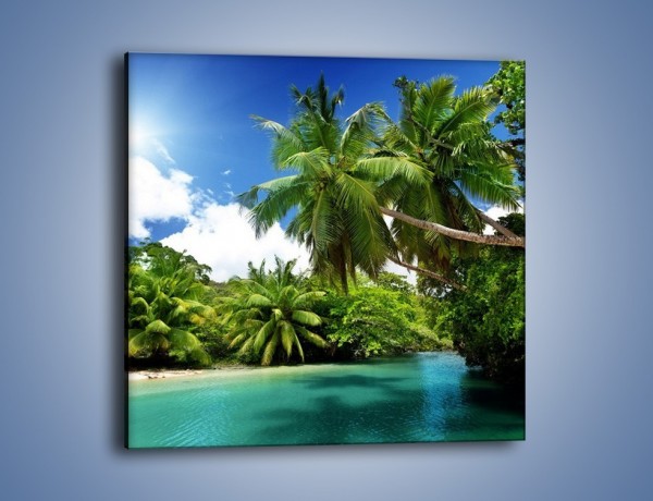 Obraz na płótnie – Rozłożone palmy i woda – jednoczęściowy kwadratowy KN1168A