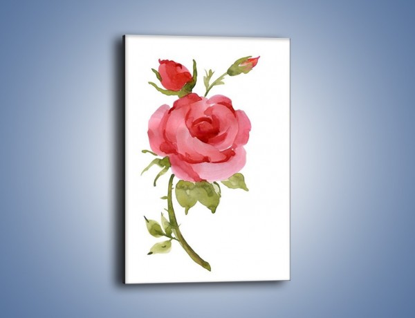 Obraz na płótnie – Róża nie do końca rozwinięta – jednoczęściowy prostokątny pionowy GR501