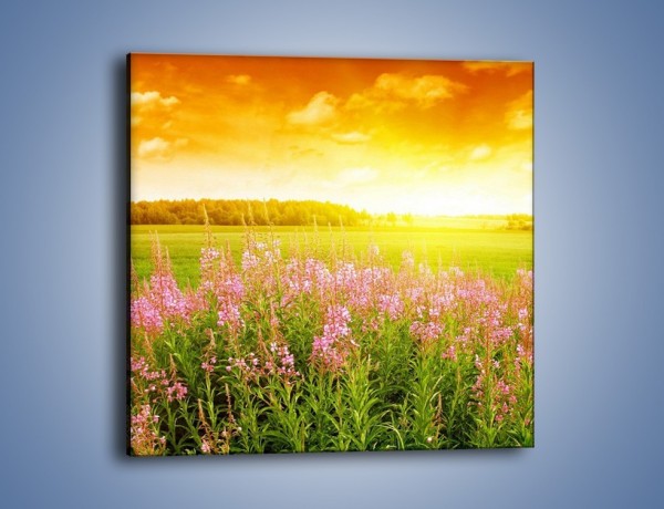 Obraz na płótnie – Cukierkowe kwiatki na polanie – jednoczęściowy kwadratowy KN117