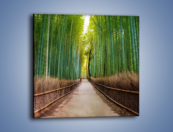 Obraz na płótnie – Bambusowy las – jednoczęściowy kwadratowy KN1187A