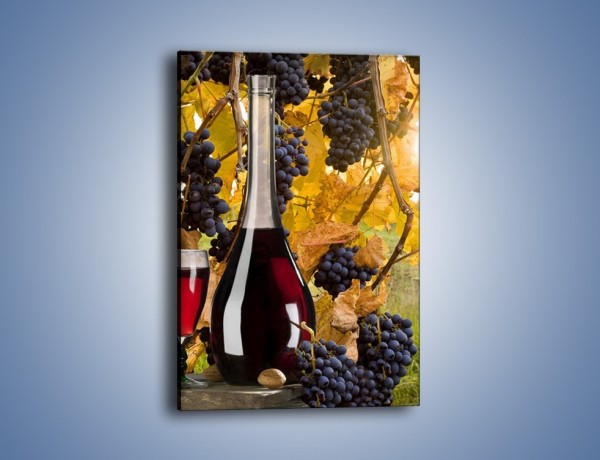 Obraz na płótnie – Wino wśród winogron – jednoczęściowy prostokątny pionowy JN007