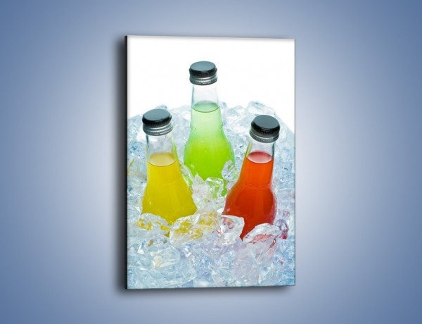 Obraz na płótnie – Schłodzone drinki w butelce – jednoczęściowy prostokątny pionowy JN030