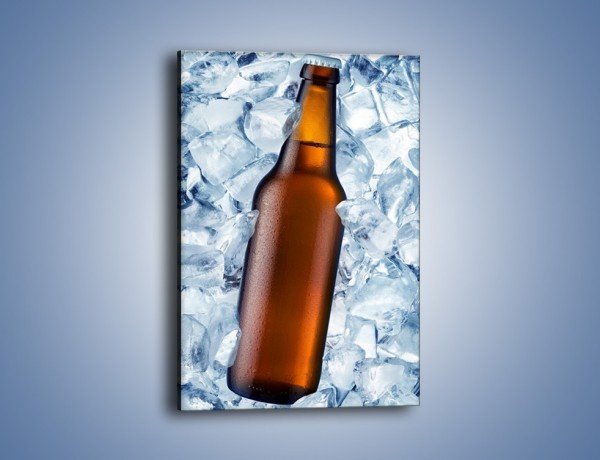 Obraz na płótnie – Ciemne piwo w butelce – jednoczęściowy prostokątny pionowy JN048