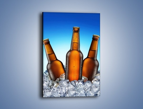 Obraz na płótnie – Szron na butelkach piwa – jednoczęściowy prostokątny pionowy JN075