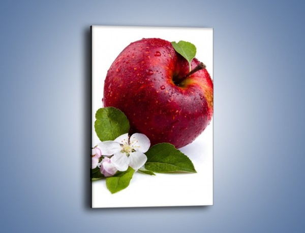 Obraz na płótnie – Polskie zdrowe jabłko – jednoczęściowy prostokątny pionowy JN102