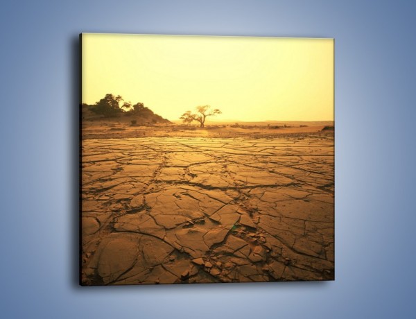Obraz na płótnie – Ziemia zorana słońcem – jednoczęściowy kwadratowy KN1221A