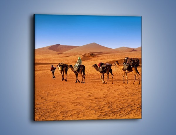 Obraz na płótnie – Idą wielbłądy przez pustynię – jednoczęściowy kwadratowy KN1237A