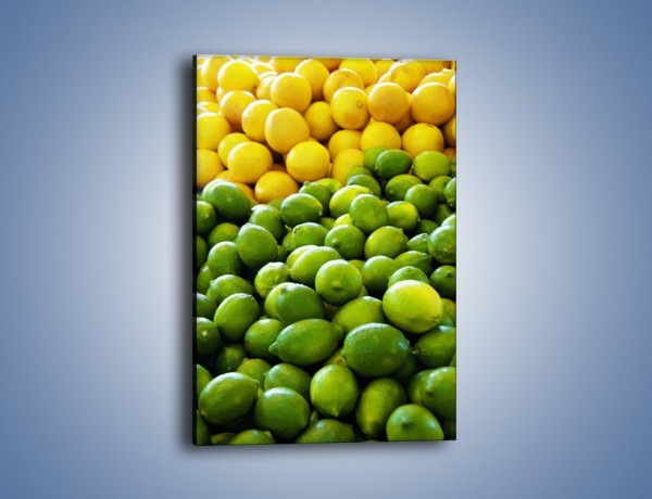 Obraz na płótnie – Cytrynowo-limonkowy duet – jednoczęściowy prostokątny pionowy JN190