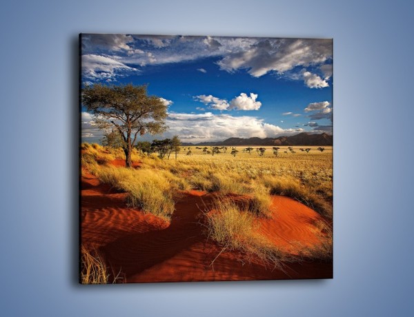 Obraz na płótnie – Czerwony piasek i roślinność – jednoczęściowy kwadratowy KN1290A