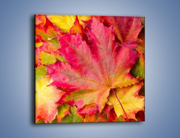 Obraz na płótnie – Jesień w liściach – jednoczęściowy kwadratowy KN131