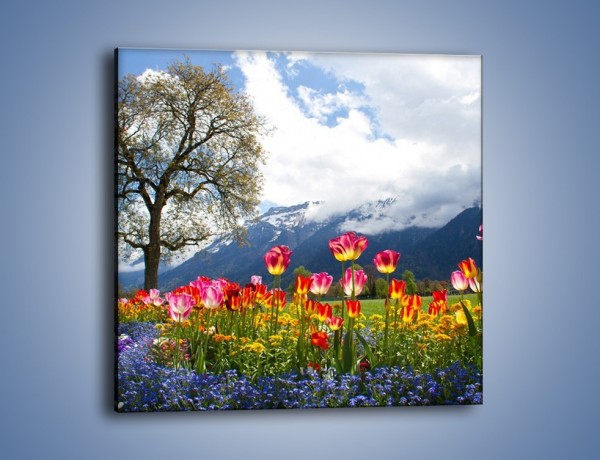 Obraz na płótnie – Tulipanki i ich towarzysze – jednoczęściowy kwadratowy KN1333A