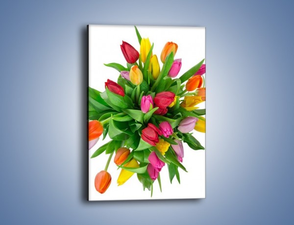 Obraz na płótnie – Wiązanka kolorowych tulipanów – jednoczęściowy prostokątny pionowy K019