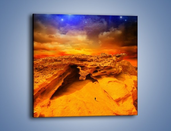 Obraz na płótnie – Samotnie na piasku – jednoczęściowy kwadratowy KN147