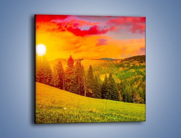 Obraz na płótnie – Zachód słońca za drzewami – jednoczęściowy kwadratowy KN150
