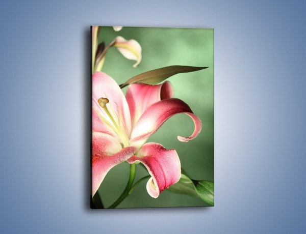 Obraz na płótnie – Kwiat lilii – jednoczęściowy prostokątny pionowy K038