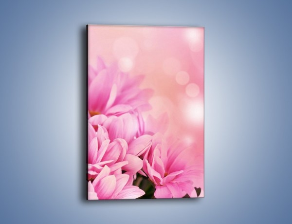 Obraz na płótnie – Kule świetlne i kwiaty – jednoczęściowy prostokątny pionowy K073