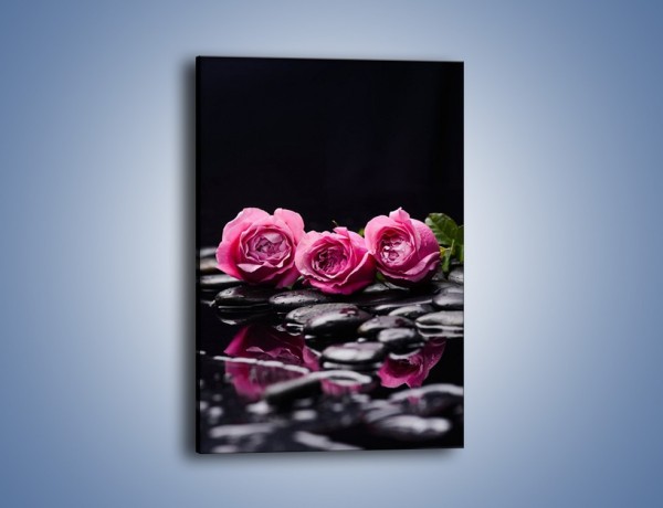 Obraz na płótnie – Malutkie różane trio – jednoczęściowy prostokątny pionowy K1027