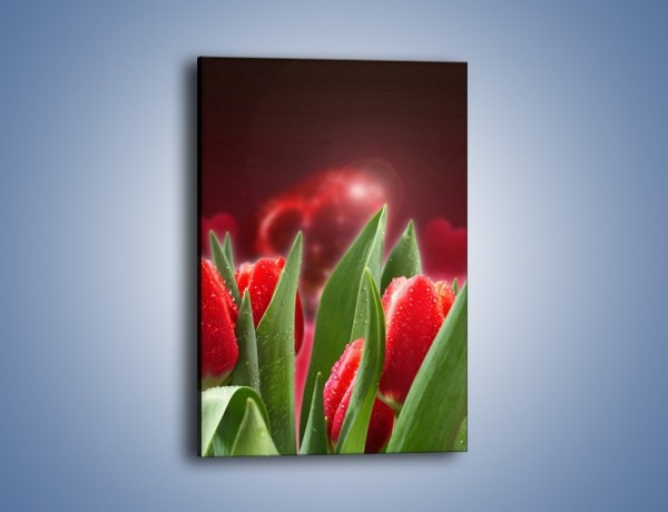 Obraz na płótnie – Mokre tulipany w świetlnej osłonie – jednoczęściowy prostokątny pionowy K114