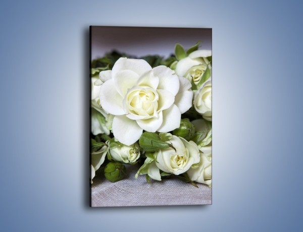 Obraz na płótnie – Białe róże na stole – jednoczęściowy prostokątny pionowy K131