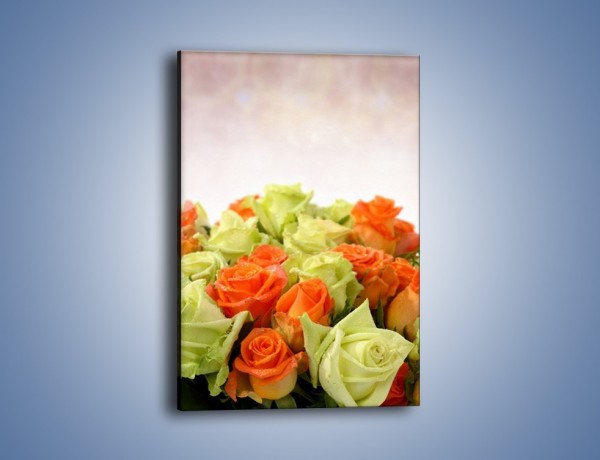 Obraz na płótnie – Dwa kolory w róży – jednoczęściowy prostokątny pionowy K132