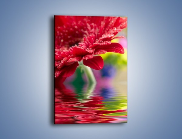 Obraz na płótnie – Bordowy kwiat odbity w wodzie – jednoczęściowy prostokątny pionowy K138