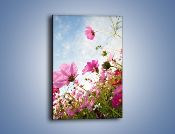 Obraz na płótnie – Kwiaty na łące – jednoczęściowy prostokątny pionowy K241