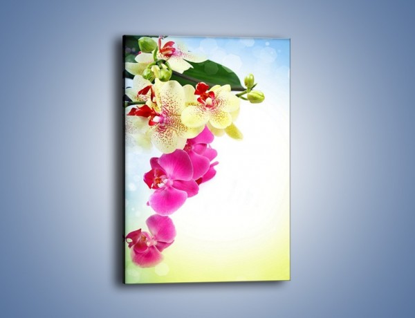 Obraz na płótnie – Krajobraz z kwiatami – jednoczęściowy prostokątny pionowy K250