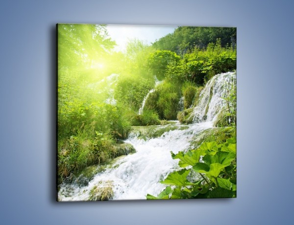 Obraz na płótnie – Wodospad ukryty w zieleni – jednoczęściowy kwadratowy KN228