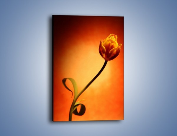 Obraz na płótnie – Zamyślony tulipan – jednoczęściowy prostokątny pionowy K256