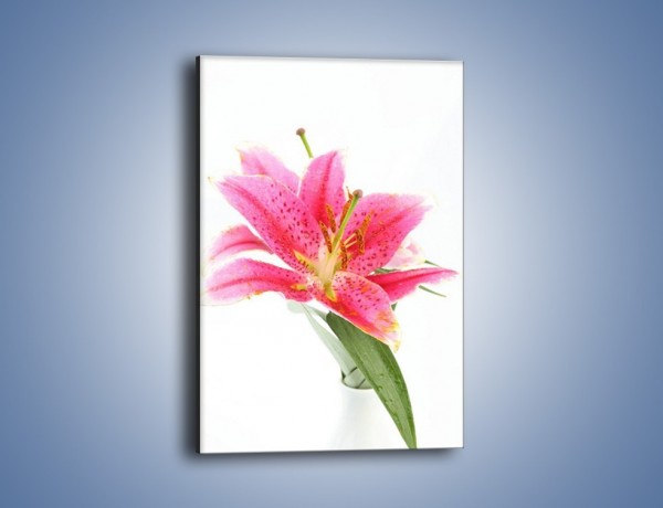 Obraz na płótnie – Rzut na lilie – jednoczęściowy prostokątny pionowy K257