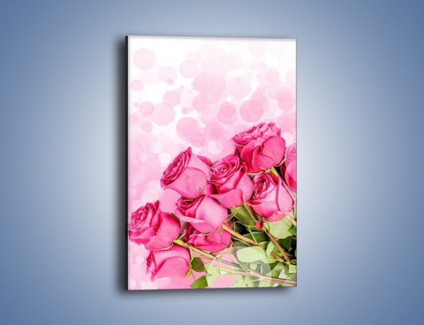 Obraz na płótnie – Słodkie bąbelkowe róże – jednoczęściowy prostokątny pionowy K261