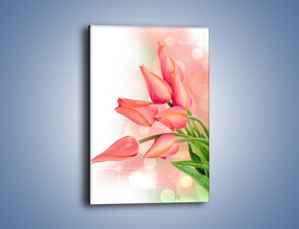 Obraz na płótnie – Dobrze zakręcone tulipany – jednoczęściowy prostokątny pionowy K265