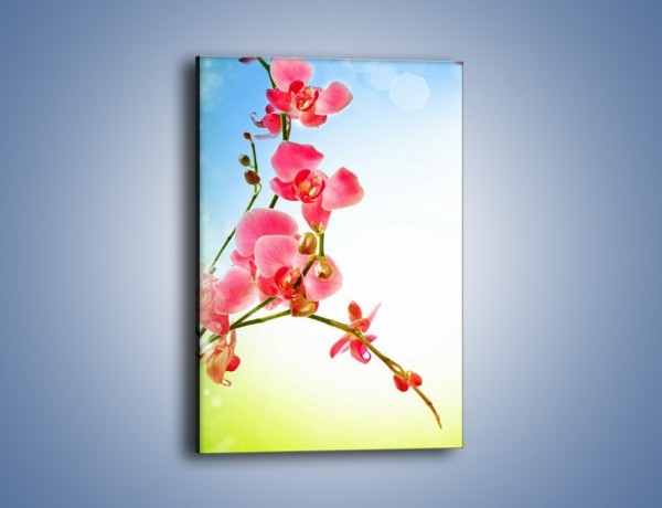 Obraz na płótnie – Akcent kwiatowy – jednoczęściowy prostokątny pionowy K268