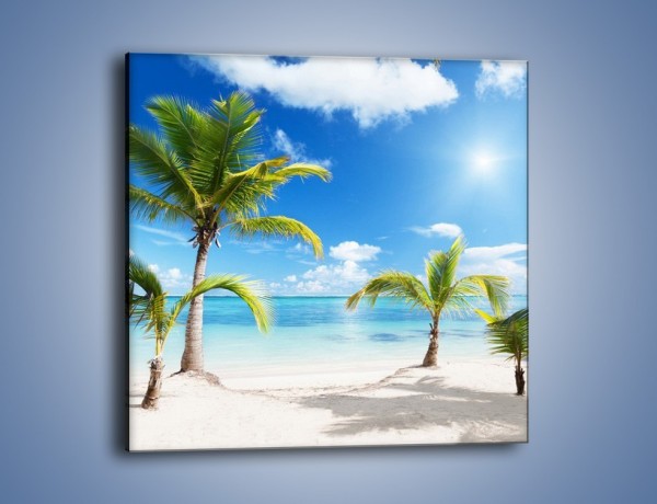 Obraz na płótnie – Palmy na pustej plaży – jednoczęściowy kwadratowy KN245