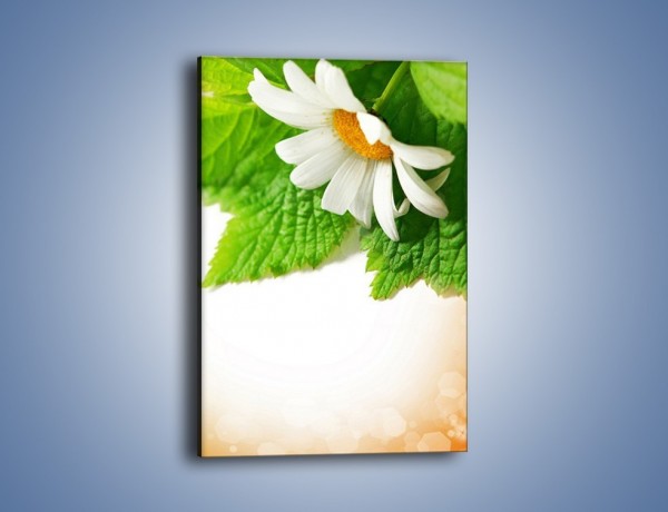 Obraz na płótnie – Tło z jednym kwiatem – jednoczęściowy prostokątny pionowy K280
