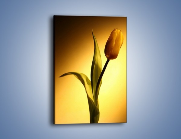 Obraz na płótnie – Tulipan w samotności – jednoczęściowy prostokątny pionowy K286