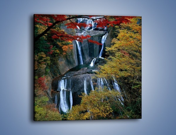 Obraz na płótnie – Leśne okienko na wodospad – jednoczęściowy kwadratowy KN298